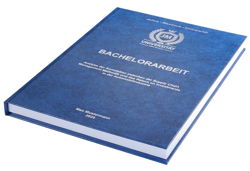Bachelorarbeit Der gesamte Themenbereich im Überblick