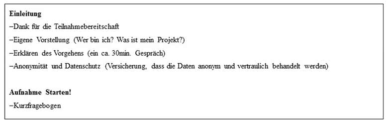 Leitfadeninterview Einleitung