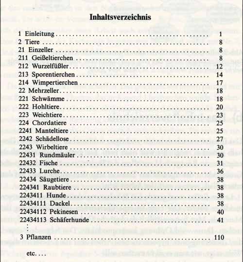 Gliederung Bachelorarbeit Fehler vermeiden