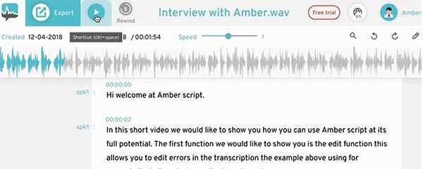Transkription Interview Transkript bearbeiten