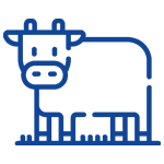 BCG Matrix Cash Cow BCG Matrix Cash Cow