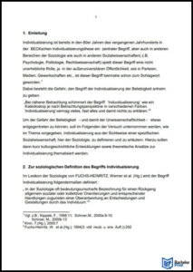 Einleitung-Essay-Beispiel