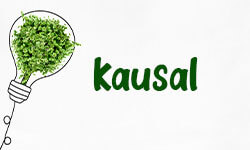 kausal-01