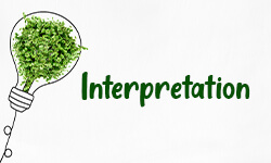 Interpretation-01