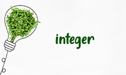 integer-01