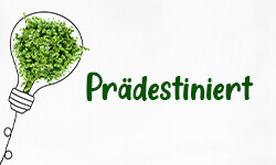 prädestiniert-01