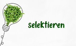 Selektieren-01