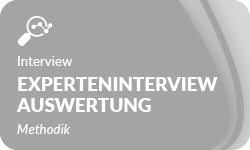 Experteninterview Auswertung-01